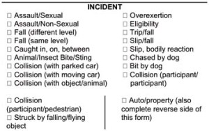 Insurer Incident Table copy